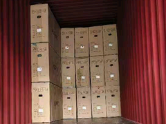 Vapuri Handicap Electric Scooter lejn il-Bulgarija